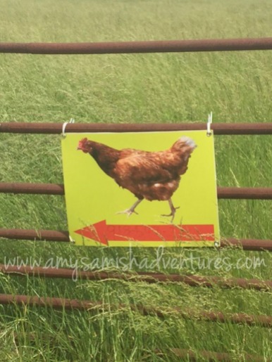 chicken sign