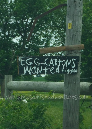 eggcartons--mkd