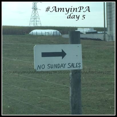 amish day 5 -a